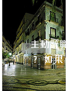 主動辭職，是否可以要求支付未休年假工資？如果公司拒付怎么辦？
